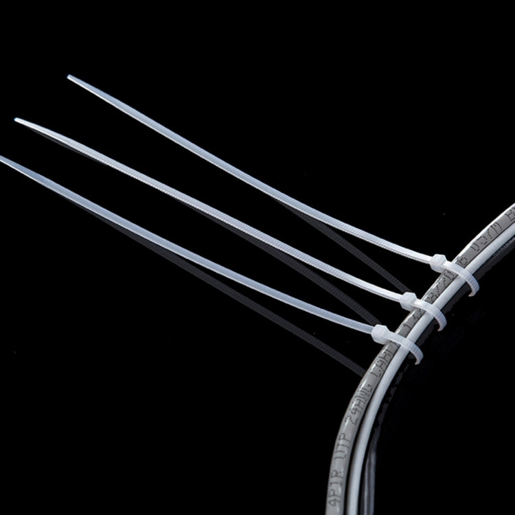 250pcs /Pack 5mm*300mm Nylon Cable Ties(Black) - Booster Cable & Clip by PMC TechLife | Online Shopping South Africa | PMC TechLife
