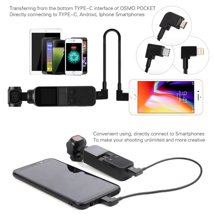 Sunnylife 30cm USB-C / Type-C to USB-C / Type-C Converting Connector Data Cable for  DJI OSMO Pocket(Black) - Cable & Adapters by Sunnylife | Online Shopping South Africa | PMC Jewellery | Buy Now Pay Later Mobicred