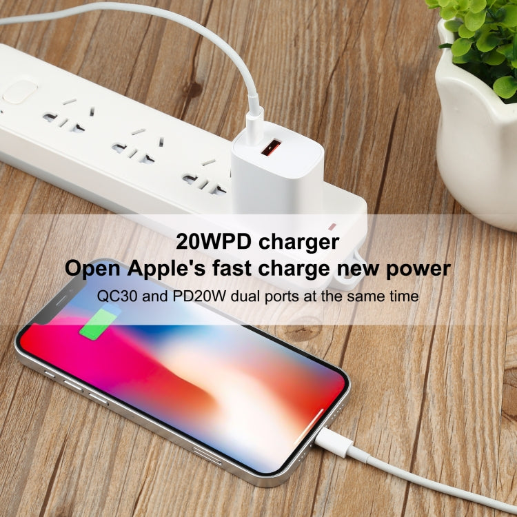 U087 20W USB-C / Type-C + USB Ports Charger with 100W Type-C to 8 Pin Fast Charging Cable 2m, US Plug - USB Charger by PMC Jewellery | Online Shopping South Africa | PMC Jewellery | Buy Now Pay Later Mobicred