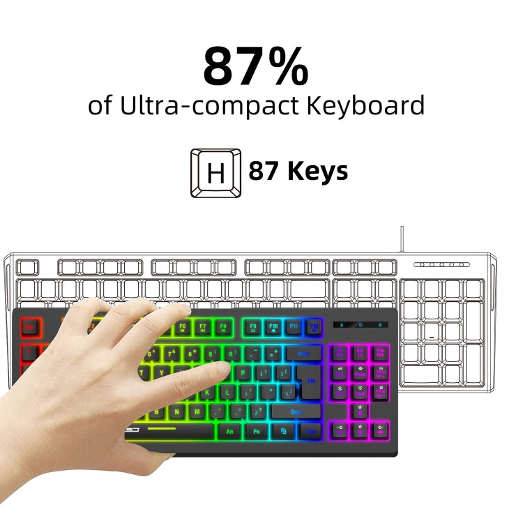 HXSJ L100 87 Keys RGB Backlit Film 2.4G Wireless Keyboard(Black) - Wireless Keyboard by HXSJ | Online Shopping South Africa | PMC Jewellery | Buy Now Pay Later Mobicred