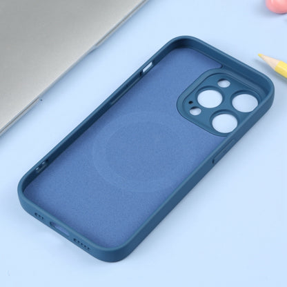 For iPhone 16 Plus Liquid Silicone Magsafe Phone Case(Blue) - iPhone 16 Plus Cases by PMC Jewellery | Online Shopping South Africa | PMC Jewellery | Buy Now Pay Later Mobicred