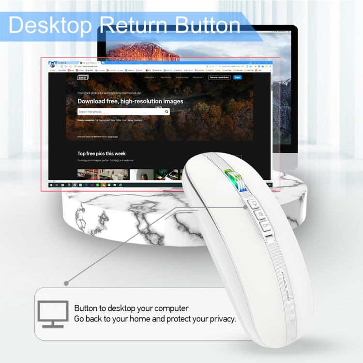 HXSJ M113 2400DPI Dual Mode 2.4GHz + Bluetooth 5.1 Wireless Mouse(Pearl White) - Wireless Mice by HXSJ | Online Shopping South Africa | PMC Jewellery | Buy Now Pay Later Mobicred