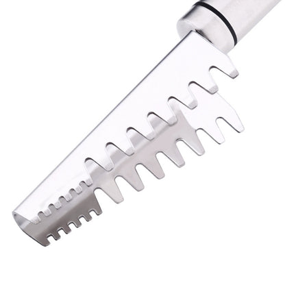 SSGP Stainless Steel Fish Scale Planing Knife Kitchen Essential, Length: 20.5cm - Gadgets by SSGP | Online Shopping South Africa | PMC Jewellery | Buy Now Pay Later Mobicred