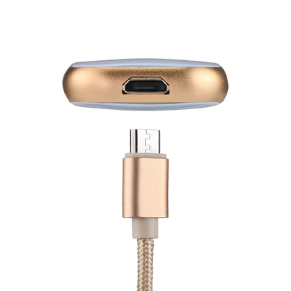 RQW-18S 8 Pin 32GB Multi-functional Flash Disk Drive with USB / Micro USB to Micro USB Cable(Gold) - U Disk & Card Reader by PMC Jewellery | Online Shopping South Africa | PMC Jewellery | Buy Now Pay Later Mobicred