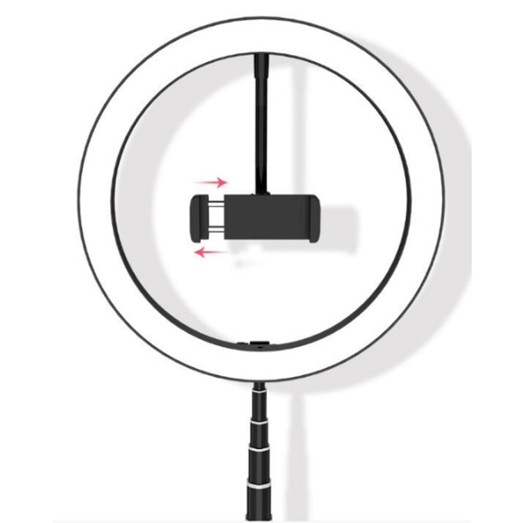 Portable Collapsible Studio-Level Professional Fill Light Mobile Phone Bracket LED Ring Light(Black) - Selfie Light by PMC Jewellery | Online Shopping South Africa | PMC Jewellery | Buy Now Pay Later Mobicred