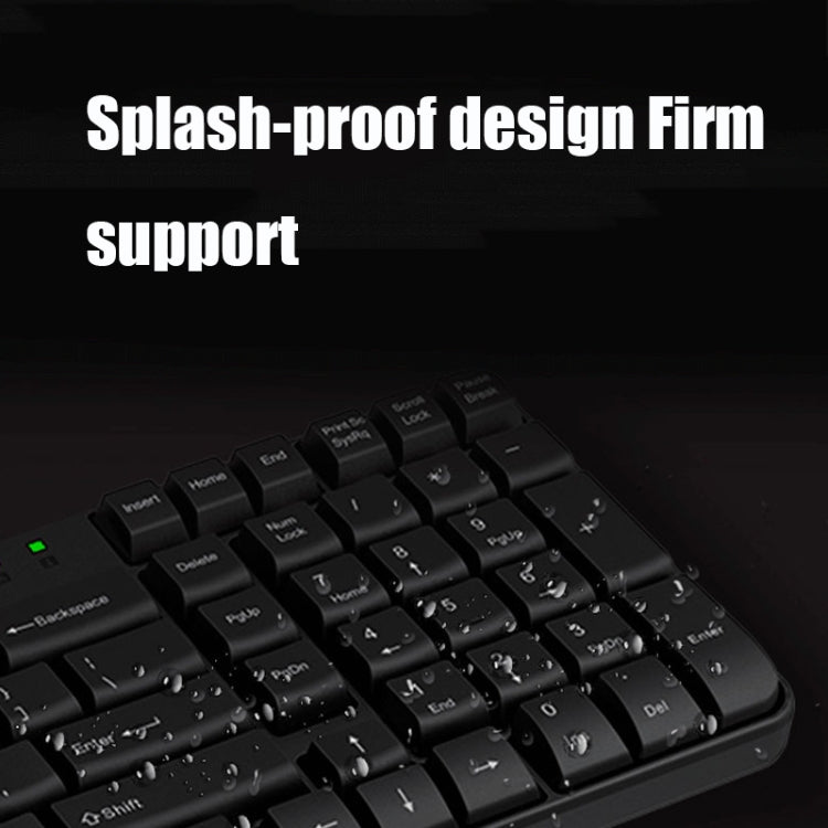 Rapoo X120 Computer Business Office USB Wired Keyboard and Mouse Set(Black) - Wired Keyboard by Rapoo | Online Shopping South Africa | PMC Jewellery | Buy Now Pay Later Mobicred