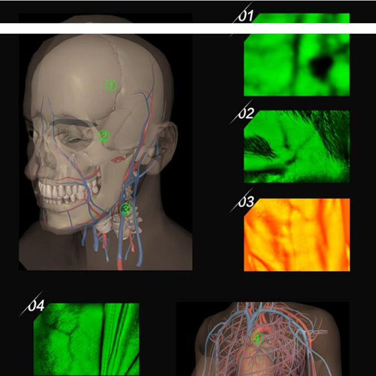 P2-1 Vascular Vein Display Inspection Camera - free shipping - PMC TechLife - Order now!