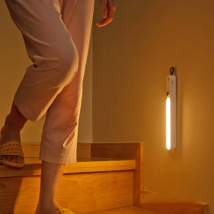 ZXD-01 Intelligent Human Body Induction Night Light LED Aisle Window Wall Light(White) - free shipping - PMc TechLife - Order now!