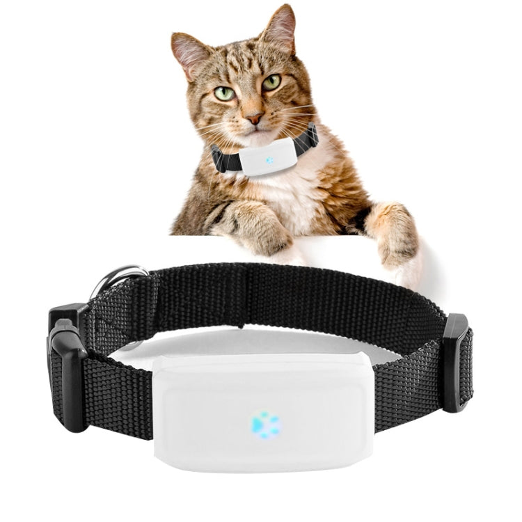 TK911 2G Pet Waterproof GPS Tracker - Pet Tracker by PMC Jewellery | Online Shopping South Africa | PMC Jewellery | Buy Now Pay Later Mobicred