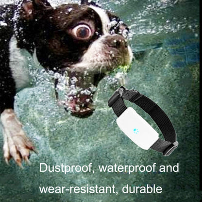 TK911 2G Pet Waterproof GPS Tracker - Pet Tracker by PMC Jewellery | Online Shopping South Africa | PMC Jewellery | Buy Now Pay Later Mobicred