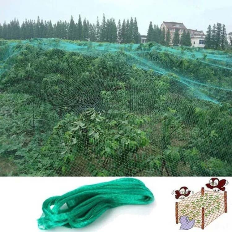 2Mx10M  Anti Bird Protection Net Mesh Garden Plant Netting Protect Plants and Fruit - Garden Netting by PMC Jewellery | Online Shopping South Africa | PMC Jewellery