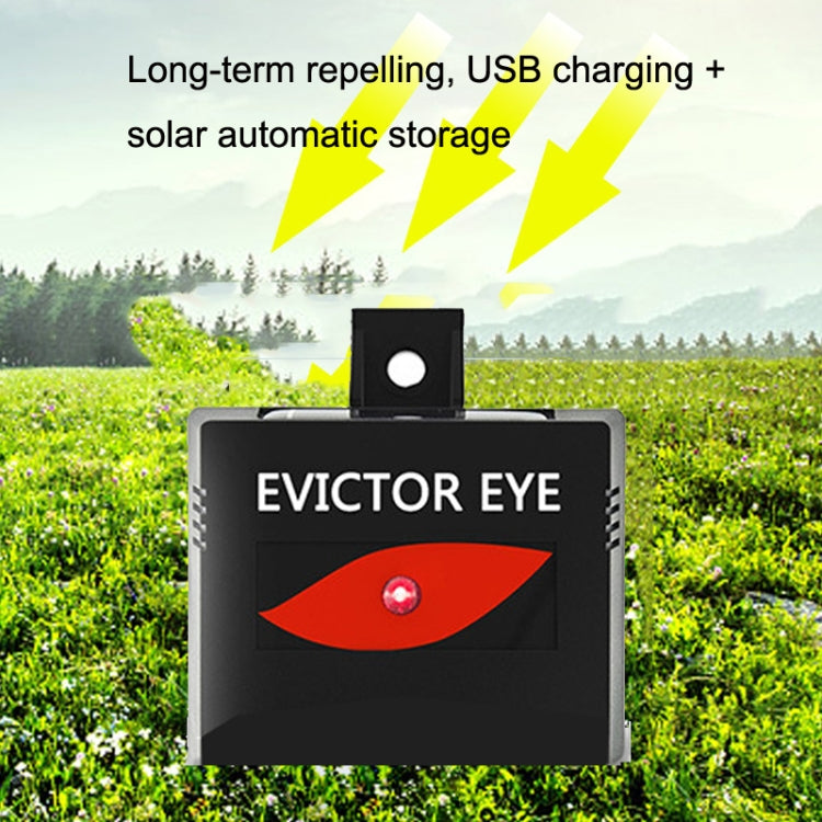 SK191 1pc Solar Farm Wild Eagle Eye Animal Repeller - Outdoor Insect Repellent by PMC TechLife | Online Shopping South Africa | PMC TechLife | Buy Now Pay Later Mobicred