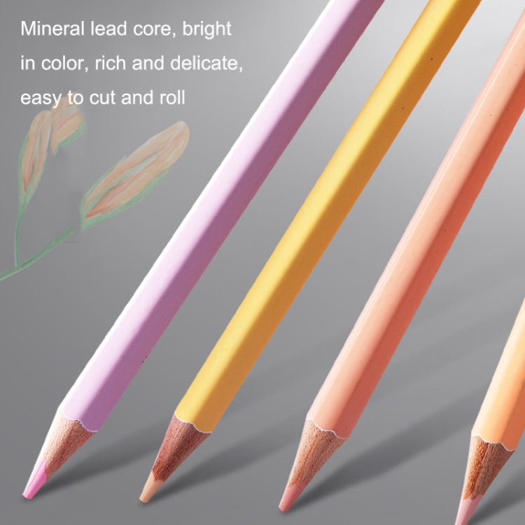 24 Colors Oily Bright Color Pencil Studio Special Set Classic Model - Art Supplies by PMC TechLife | Online Shopping South Africa | PMC TechLife | Buy Now Pay Later Mobicred