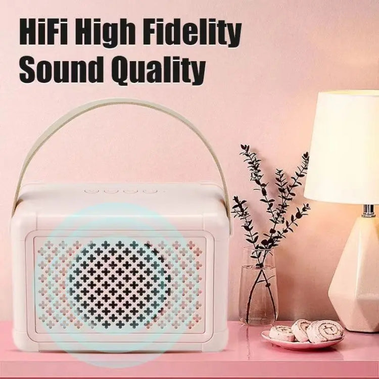 Portable Bluetooth Speaker Home Mini Karaoke Audio, Style: Dual-Microphone+Speaker(Pink) - Mini Speaker by PMC TechLife | Online Shopping South Africa | PMC TechLife