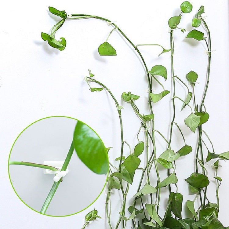 10 PCS Lulu Climbing Wall Fixer Vine Climbing Wall Sticking Hook, Size:Small(White) - Plant Support & Care by PMC Jewellery | Online Shopping South Africa | PMC Jewellery