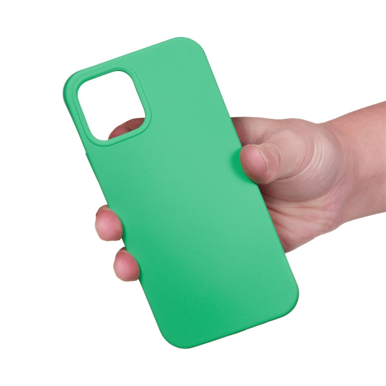 For iPhone 15 Pro Solid Color Silicone Phone Case(Green) - iPhone 15 Pro Cases by PMC TechLife | Online Shopping South Africa | PMC TechLife