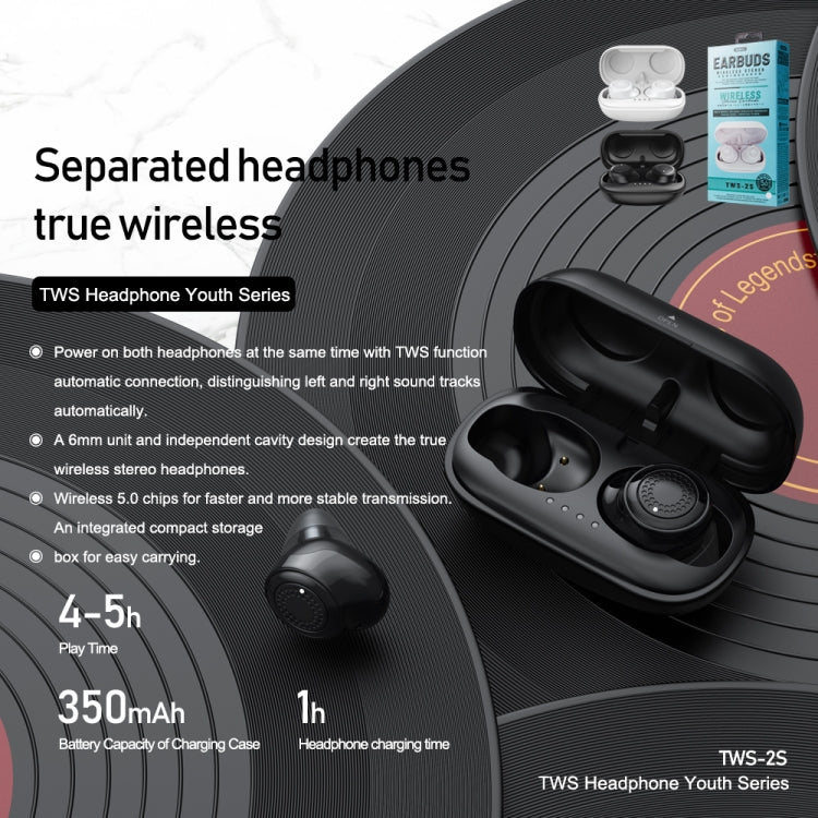 REMAX TWS-2S Bluetooth 5.0 Stereo True Wireless Bluetooth Earphone with Charging Box(Black) - TWS Earphone by REMAX | Online Shopping South Africa | PMC Jewellery