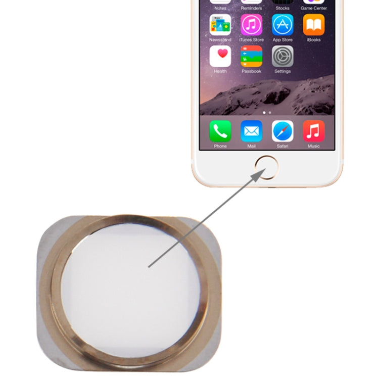 Home Button for iPhone 6(White) - iPhone 6/6 Plus Parts by PMC Jewellery | Online Shopping South Africa | PMC Jewellery