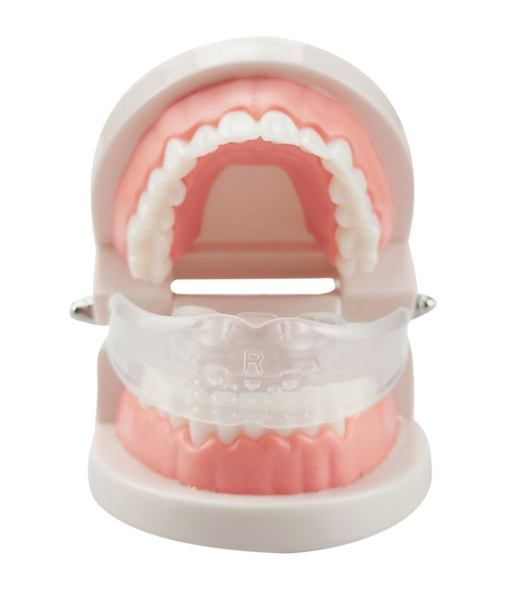 Orthodontic Appliance Silicone Simulation Braces Anti-molar Braces for Night(The second stage) - Dental Tools by PMC Jewellery | Online Shopping South Africa | PMC Jewellery