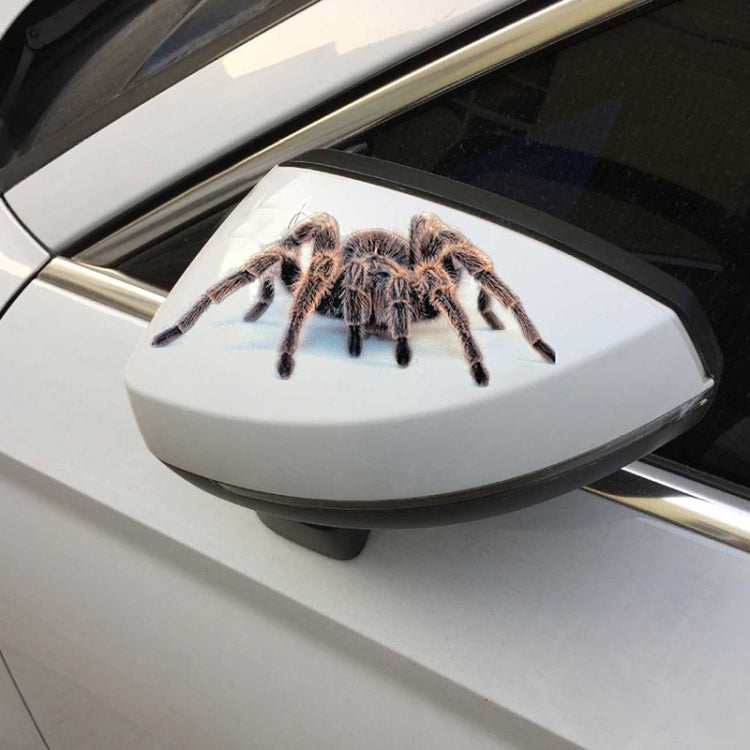 Creative Personality Scratch Cover  Car Body Sticker(Black Spider) - 3D Creative Stickers by PMC TechLife | Online Shopping South Africa | PMC TechLife | Buy Now Pay Later Mobicred