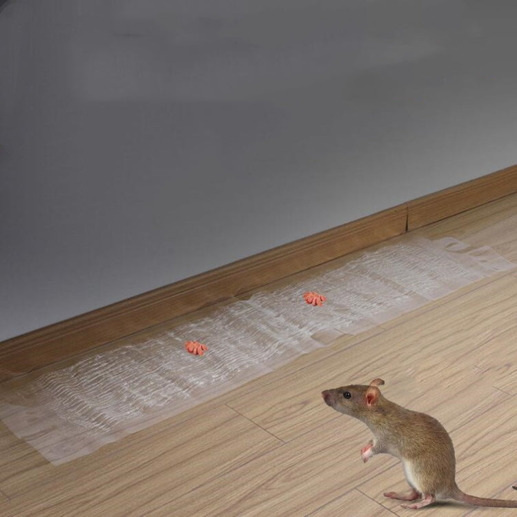 Anti-rodent Strong Sticky Board Transparent Sticky Mouse with Mousetrap Glue - free shipping - PMC TechLife - Order now!